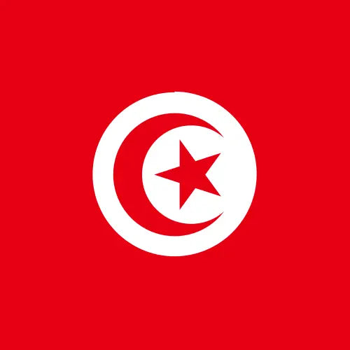 Tunisia unlimited daily eSIM
